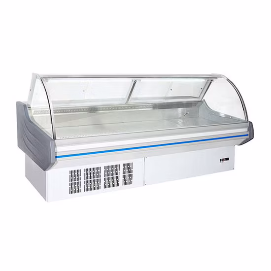 Popular Commercial Refrigerator Meat Cooler Freezer Display Chiller